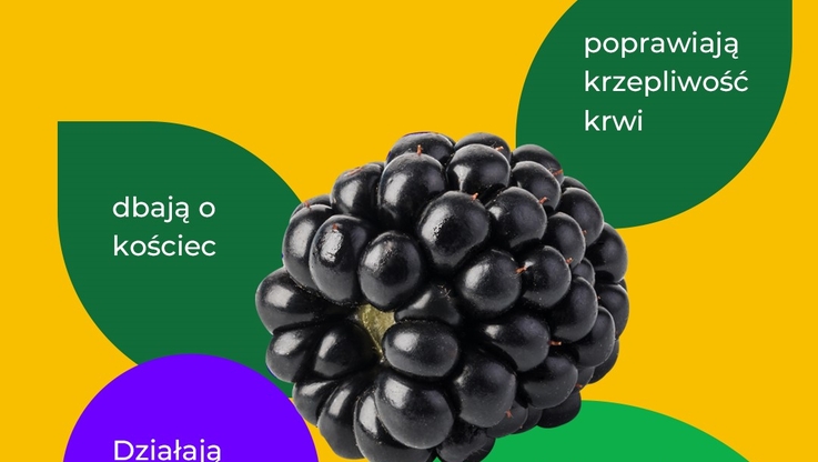 Krajowy Związek Grup Producentów Owoców i Warzyw (5)