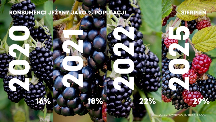 Krajowy Związek Grup Producentów Owoców i Warzyw (6)