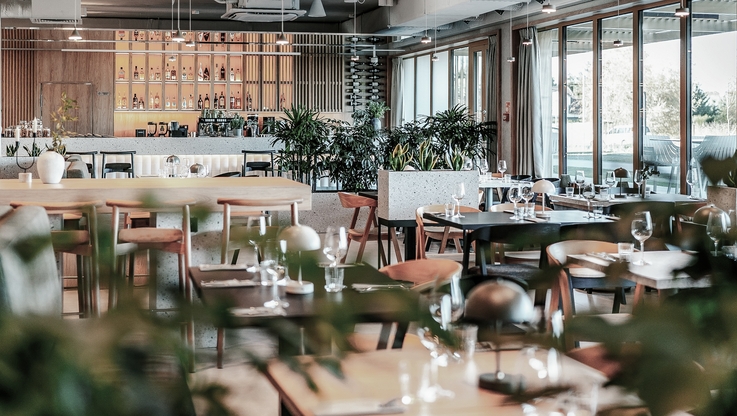 NICKEL Development (3)