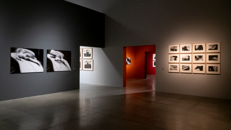 DOX_David Lynch_Up in Flames_Wgląd w wystawę_zdjęcie: Jan Slavík_©DOX (1)