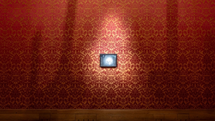 Fot. Zamek Królewski w Warszawie - fragment wystawy „Łukasz Stokłosa. Lśnienie” (2)