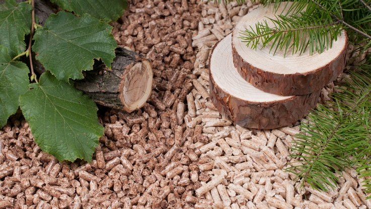 Fot. IGU OZE i Polskiego Przemysłu