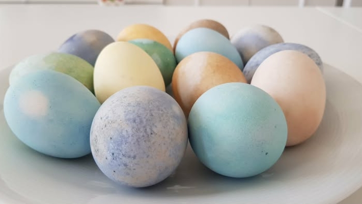 Fot. PAP/M. Młynarczyk-Zugaj