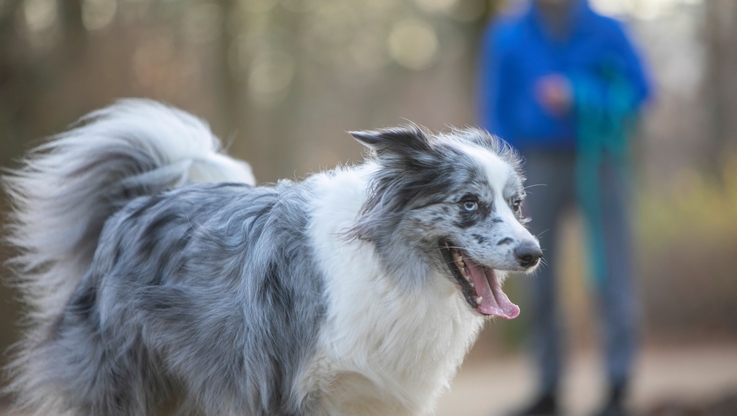 Fot. PAP MediaRoom / P. Werewka