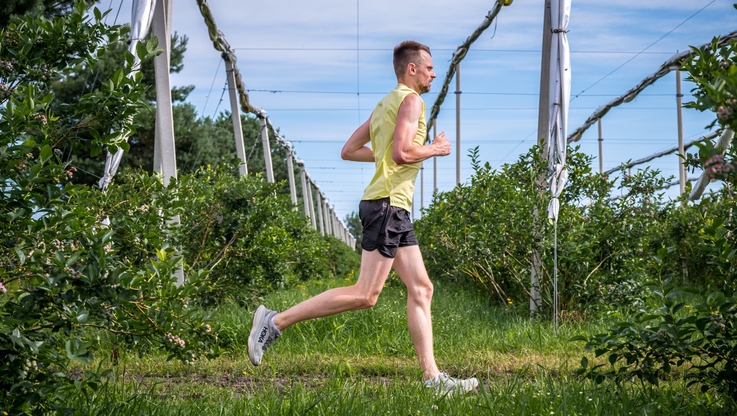 Fot. Krajowy Związek Grup Producentów Owoców i Warzyw/M. Stodolski (3)