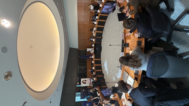 Izba Gospodarki Elektronicznej (2)