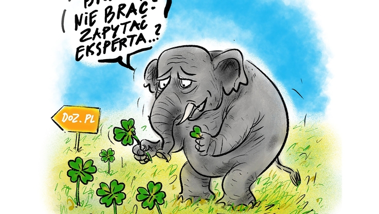 Agencja Media dla Zdrowia (2)