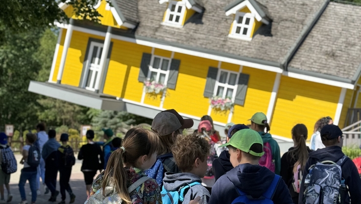 Farma Iluzji (5)