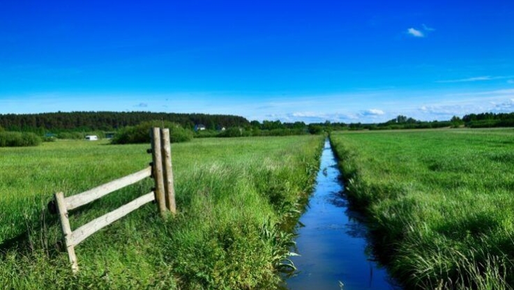 Federacja Przedsiębiorców Polskich (7)