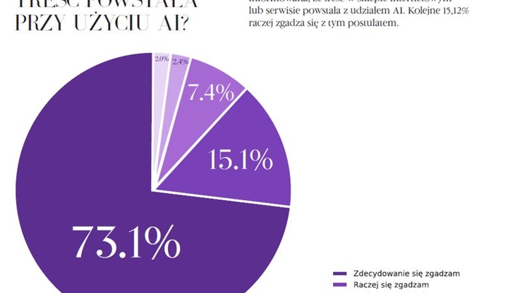  Wizaż.pl (1)