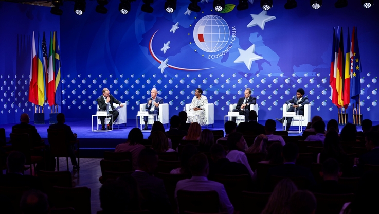 Fundacja Instytut Studiów Wschodnich (2)