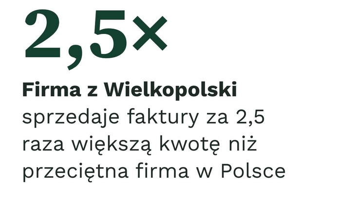 Faktomi (5)