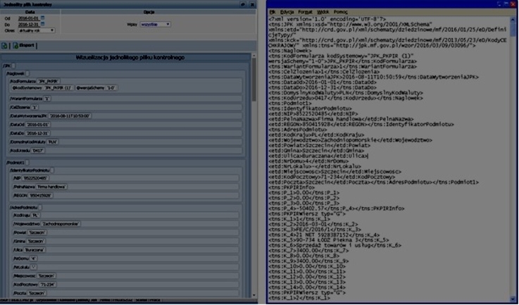 Wizualizacja raportu JPK oraz plik XML z raportem