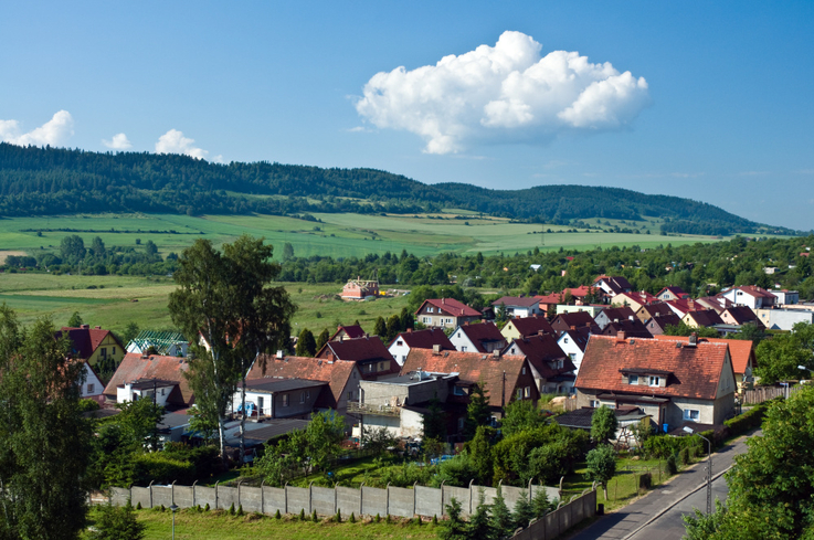 Barometr Zdrowych Domów/ VELUX (1)