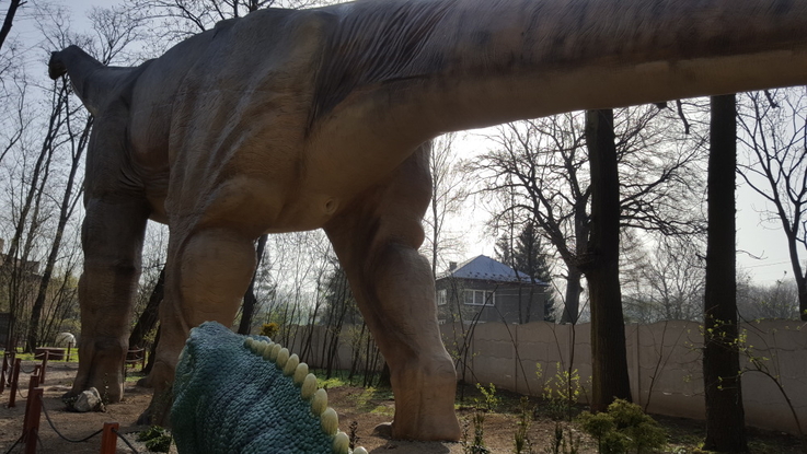 Park Ruchowych Dinozaurów: Argentynozaur (3)