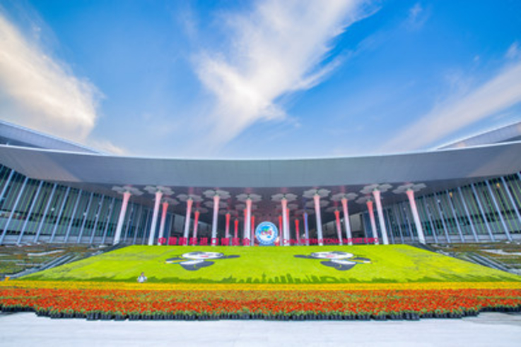 China International Import Expo