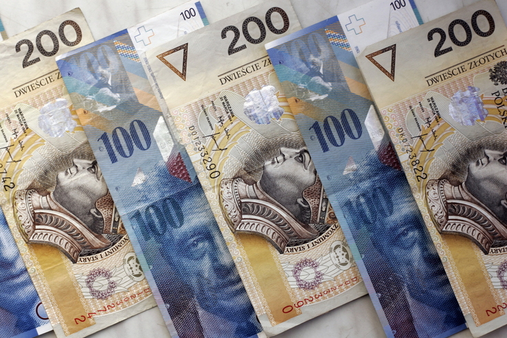 
								Banknoty: polski złoty i euro
							