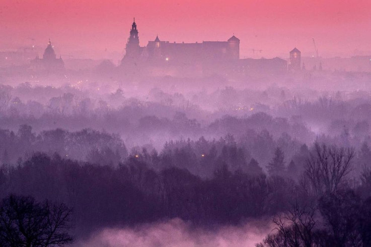 
								Wawel
							