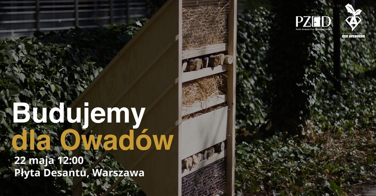 PZFD - budowa największego domu dla owadów