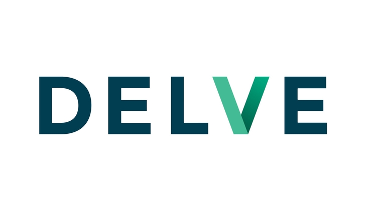 DELVE - logo