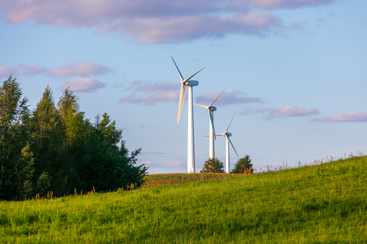 Fot. PAP MediaRoom/P.Werewka