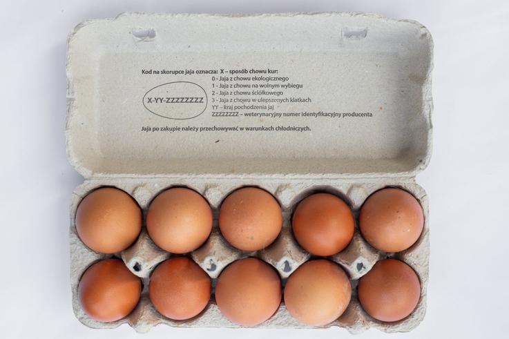 Stowarzyszenie Otwarte Klatki (1)