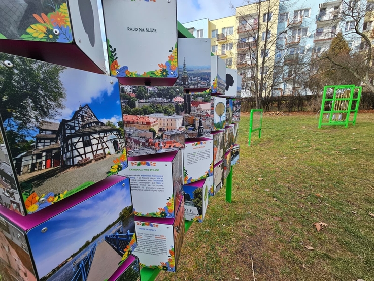 Fot. W.Bąkiewicz/UM w Świdnicy