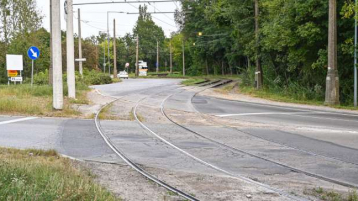 Fot. Ł. Kolewiński / UM