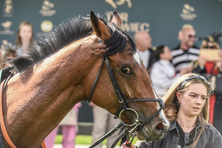 Fot. PAP/S. Leszczyński (1)