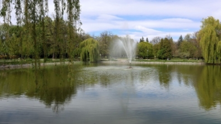 Fot. UM Piotrków Trybunalski