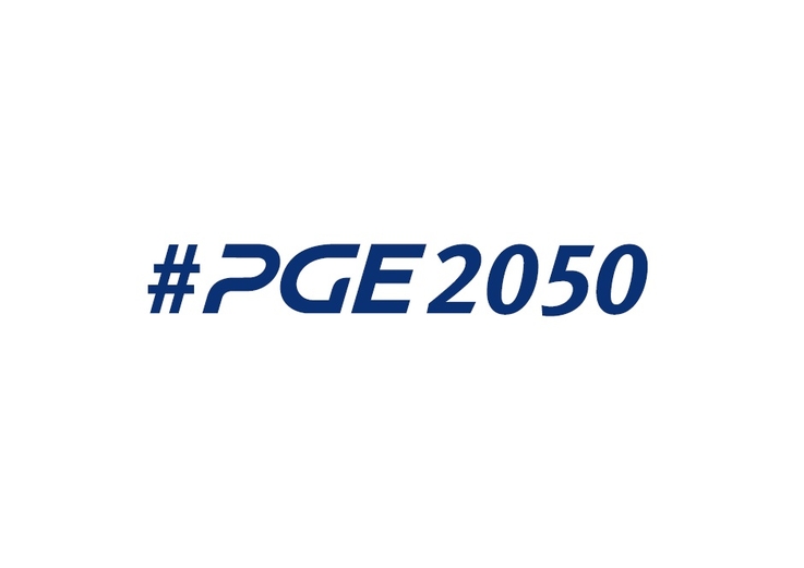 PGE Polska Grupa Energetyczna - logo
