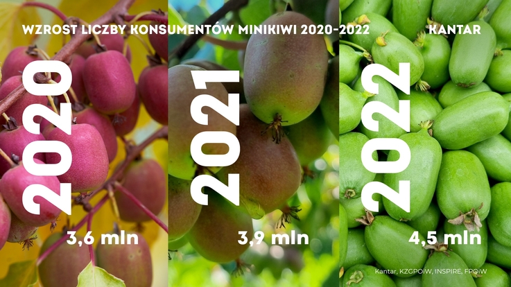 KANTAR Minikiwi (1)