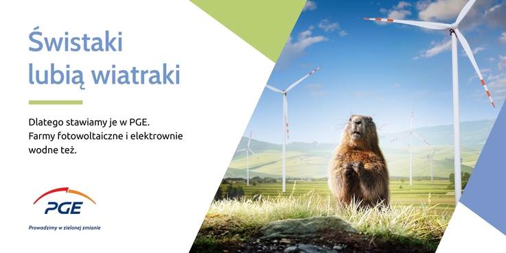 PGE Polska Grupa Energetyczna (1)