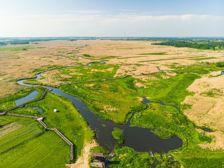 PGE Polska Grupa Energetyczna (1)