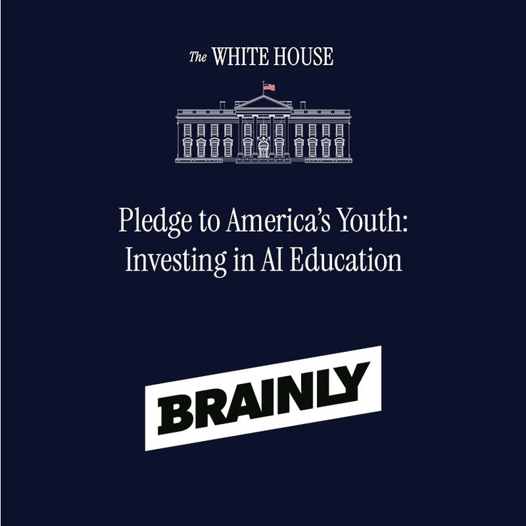 Brainly (1)