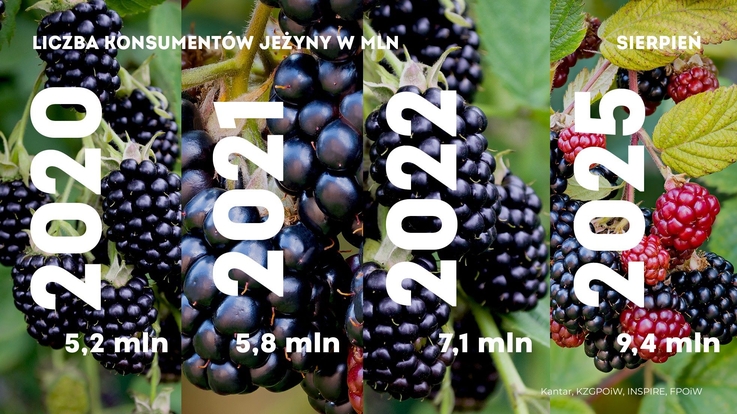 Krajowy Związek Grup Producentów Owoców i Warzyw (1)