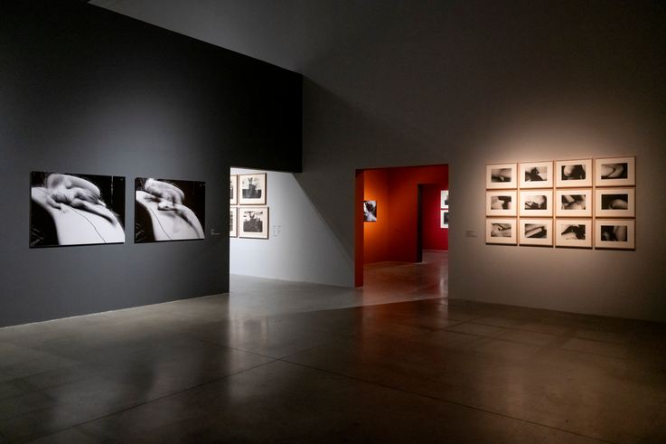 DOX_David Lynch_Up in Flames_Wgląd w wystawę_zdjęcie: Jan Slavík_©DOX (1)