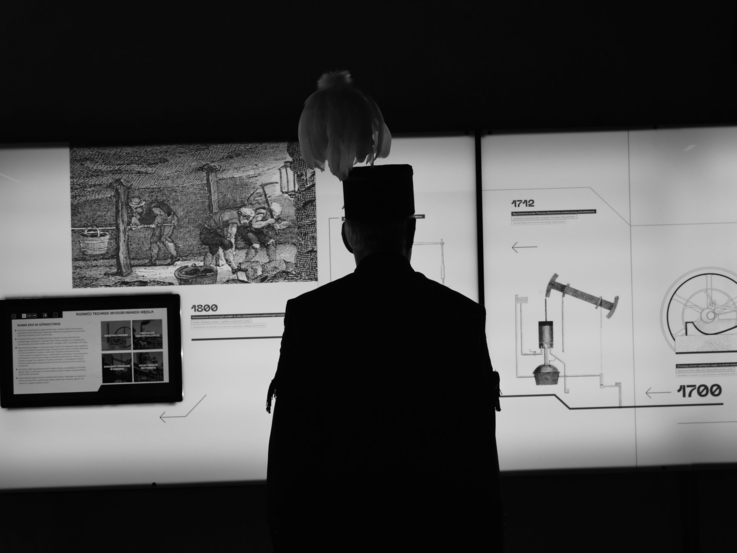 Fot. Śląska Opinia/S. Pypłacz