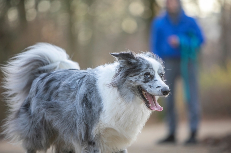 Fot. PAP MediaRoom / P. Werewka